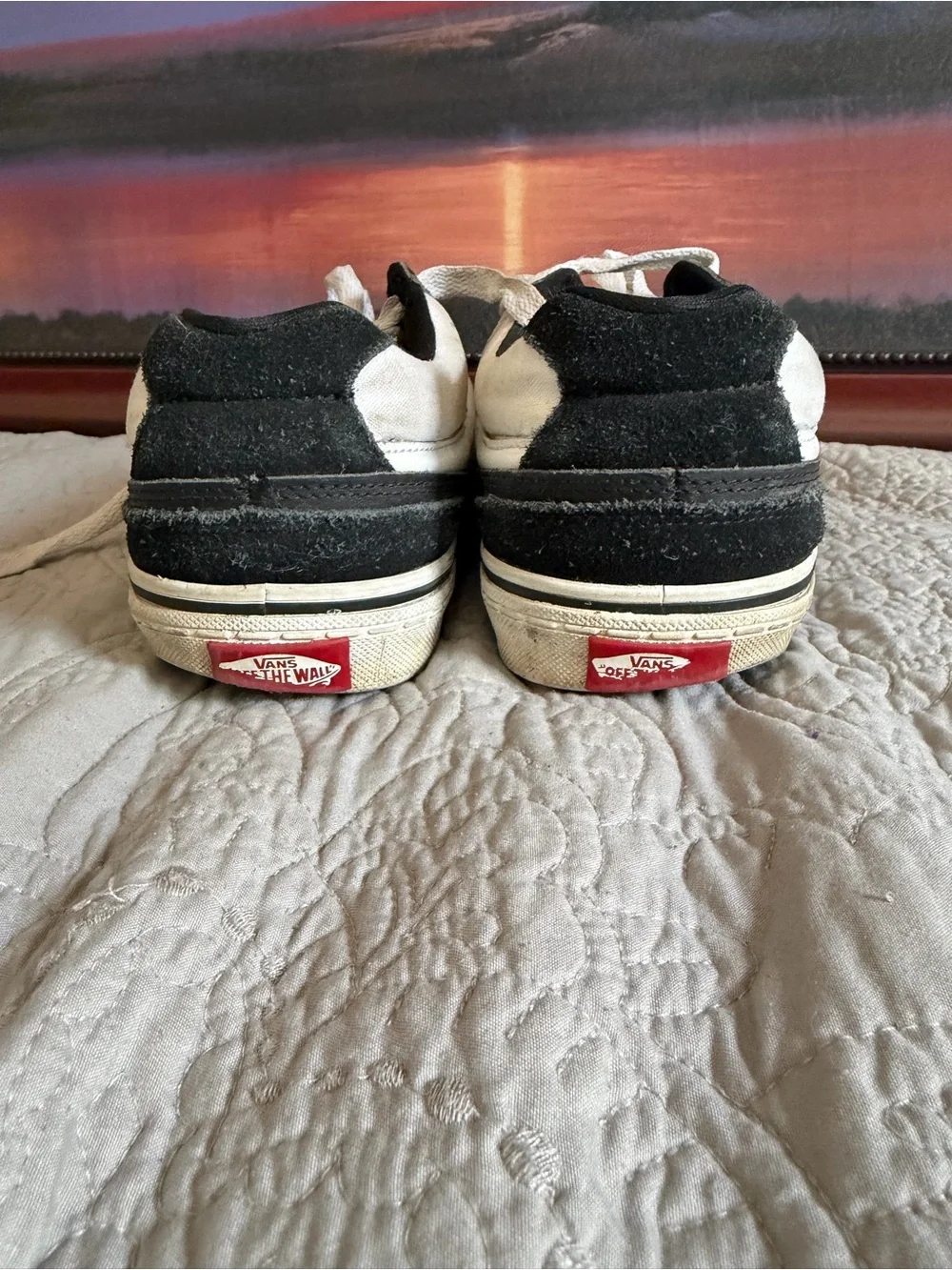 Vans men’s Black & White Low-Top Skate Sneakers